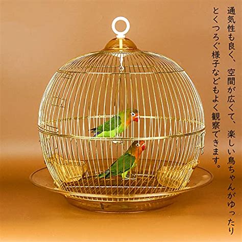 鳥籠|鳥かごおすすめ商品15選｜セキセイインコや文鳥に！ 